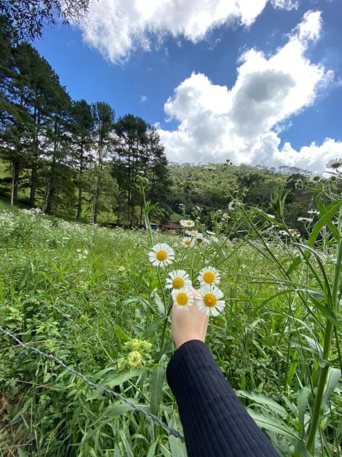 Pousada Algama Visconde de Mauá Exteriér fotografie